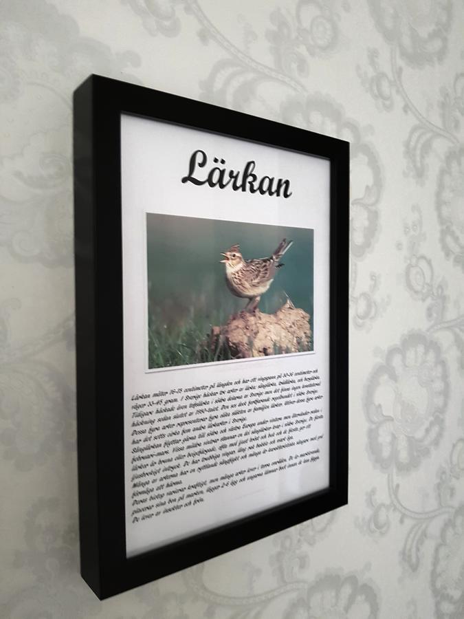 Svanshals Takern Vandrarhem المظهر الخارجي الصورة