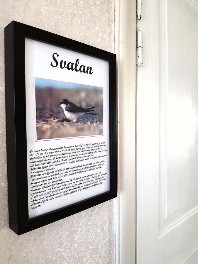 Svanshals Takern Vandrarhem المظهر الخارجي الصورة